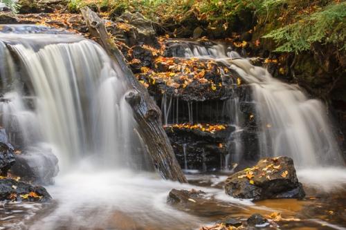 Autumn;Botanical;Boulder;Boulders;Brown;Calm;Cascade;Cascading;Chute;Cool;Creek;Fall;Fallen;Fallen Leaves;Fallen Log;Falling;Falls;Flow;Flowers & Plants;Forest;Gold;Great Lakes;Healing;Health care;Healthcare;Leaf;Michigan;Nature;Pastoral;Pebbles;Pouring;River;Rock;Rock formations;Rocks;Rocky;Spilling;Stone;Stones;Stream;Streaming;Tan;Tree;United States;Upper Peninsular;Wabi Sabi;Warm Colors;Warm Palette;Warm Tones;Water;Waterfalls;Waterscape;Yellow;color;flowing;foliage;green;landscape;leaves;oneness;orange;peaceful;rapids;restful;serene;soothing;tranquil;waterfall;wet;yellow;zen